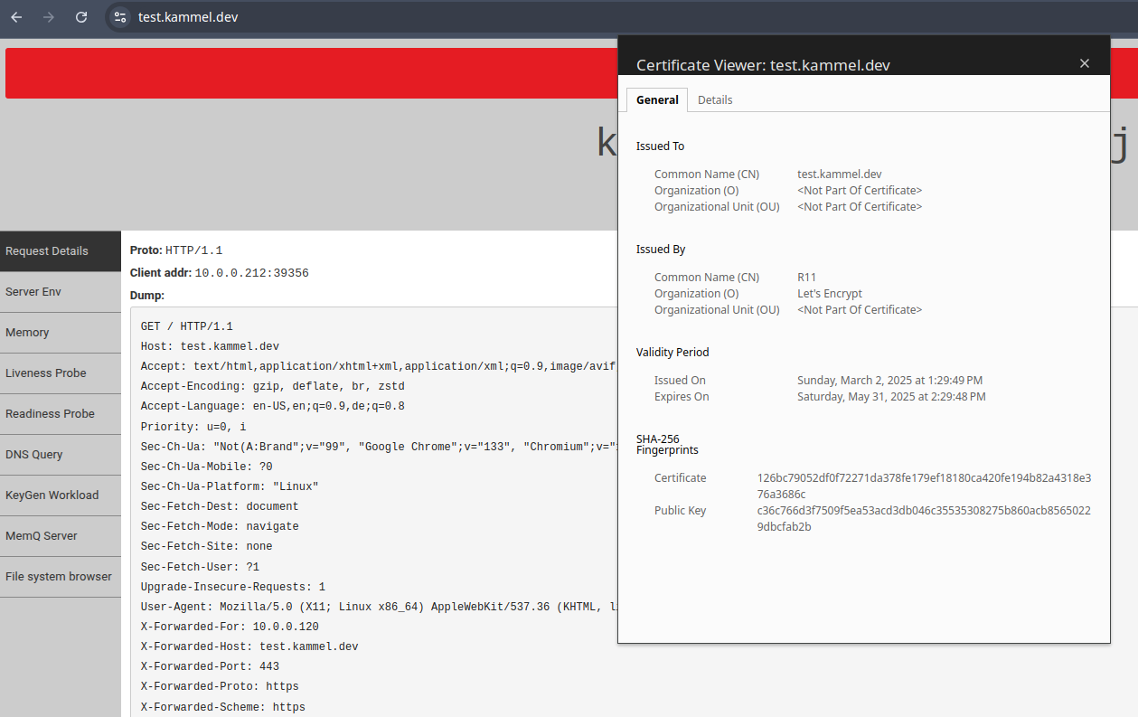 TLS protected kuard